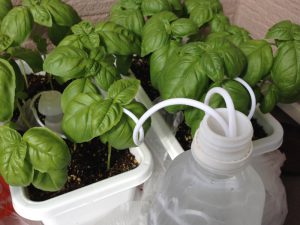 2016-07-10_070109748_0563A_iOS